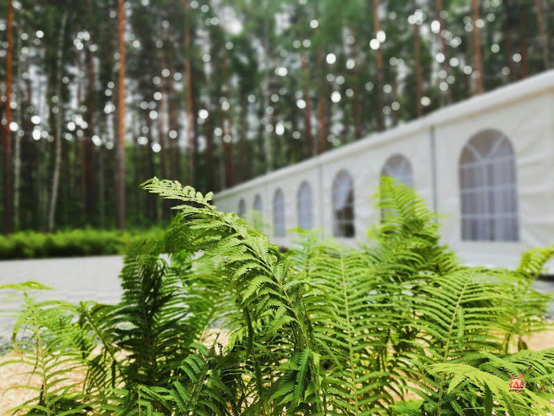 Эко-парк «Чкаловские дачи» фотография №9