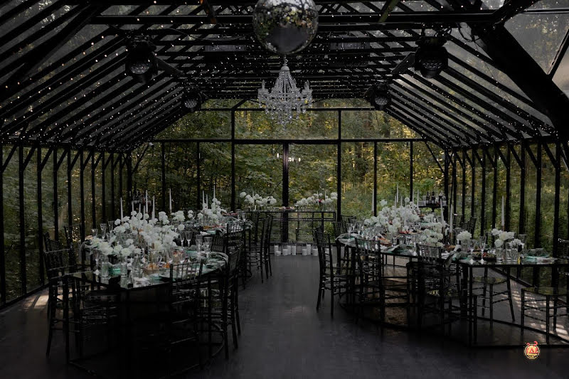 Forest Dew фотография №6