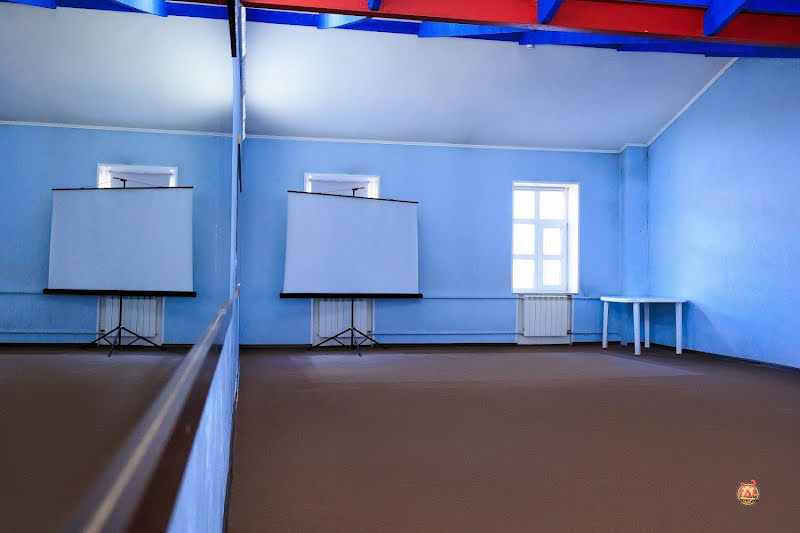 Чайка фотография №5