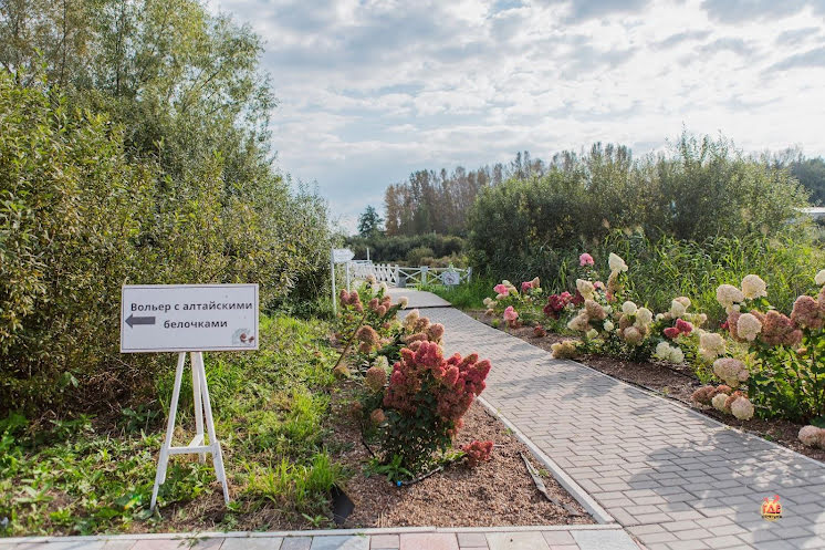 Терраса "NATURA" в «Green Hall Ufa» фотография №5