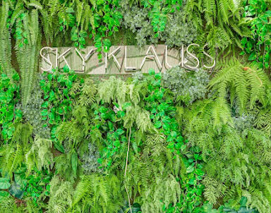  ресторан Папаша Клаусс