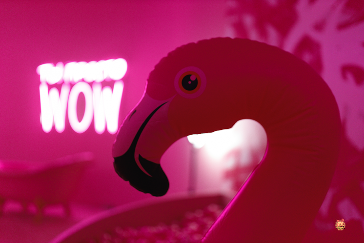 Mr.Flamingo в «Rubin Loft на Кожевенной» фотография №5