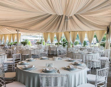 Новый год в Вега