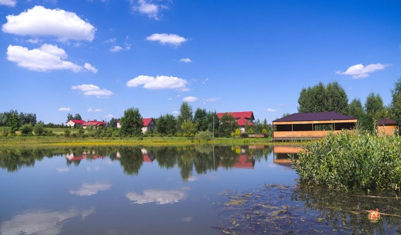 Алексино Истра фотография №12