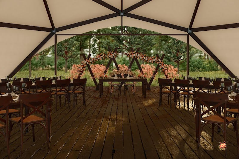 Хвоя фотография №1