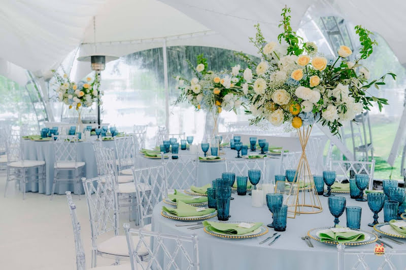 Пеликан фотография №9