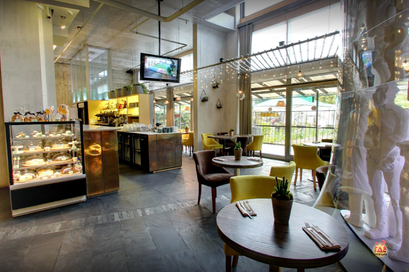 Ribambelle Green фотография №4