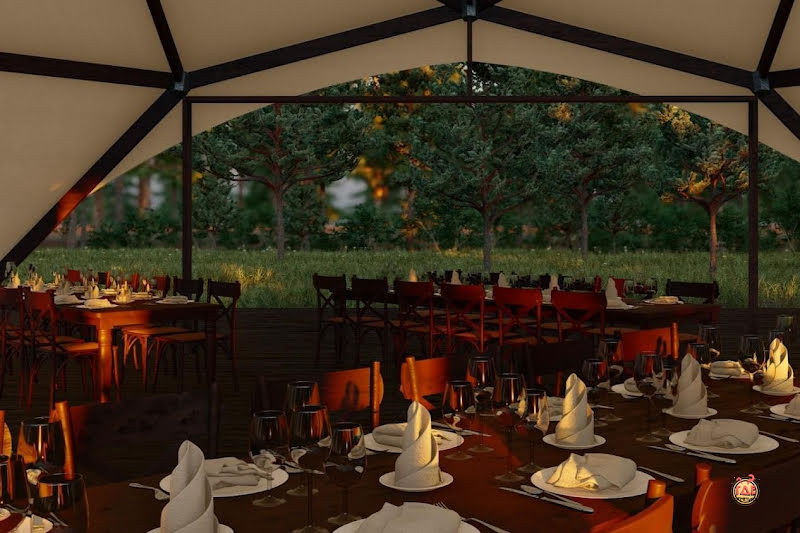 Хвоя фотография №5