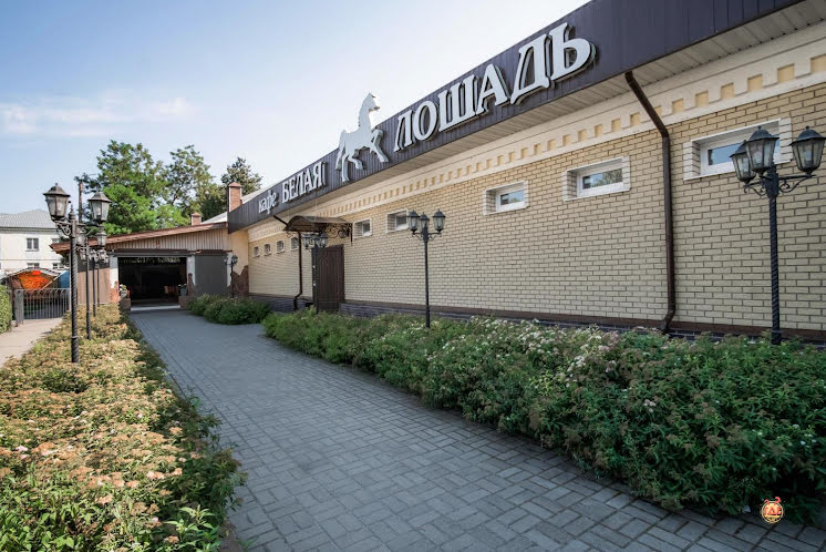 Основной зал в «Белая лошадь» фотография №16