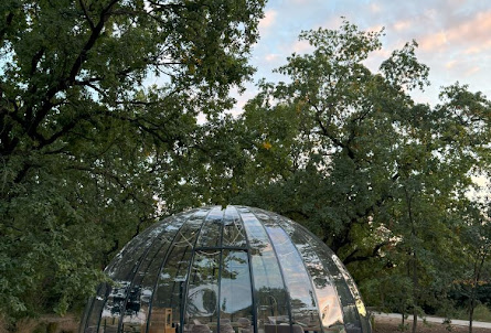 Зал "Иглу" в Большой конференц-зал