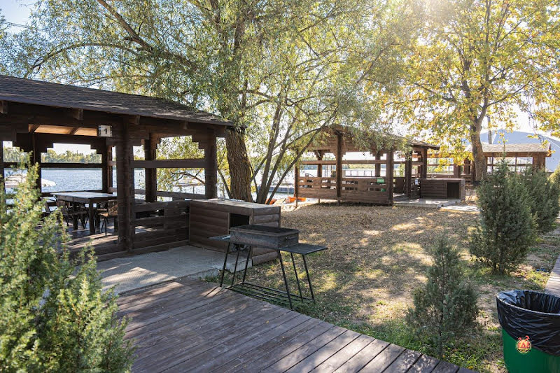 Алымов фотография №17