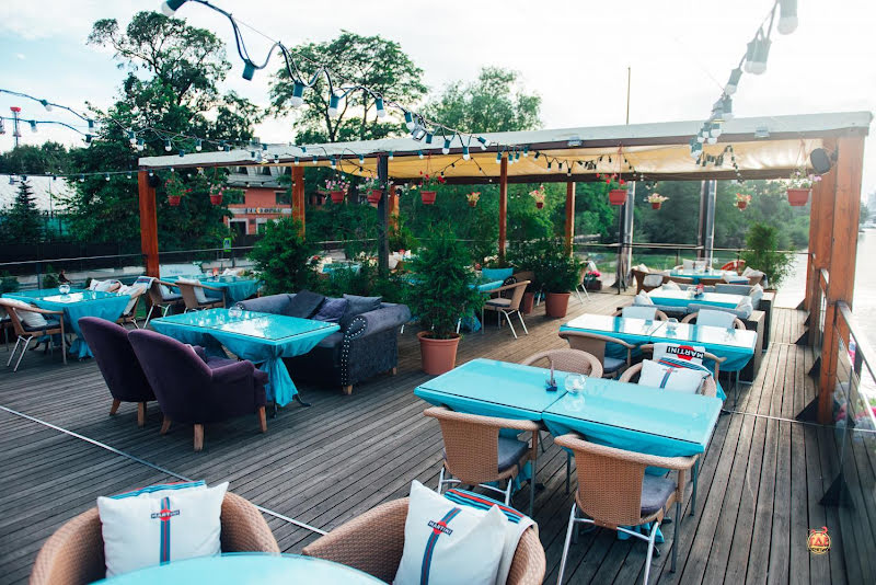 Чайка фотография №13