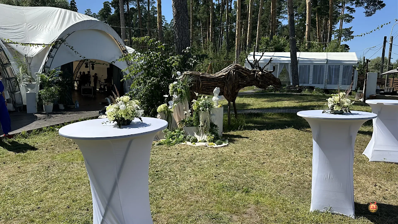 Forest-lake фотография №3