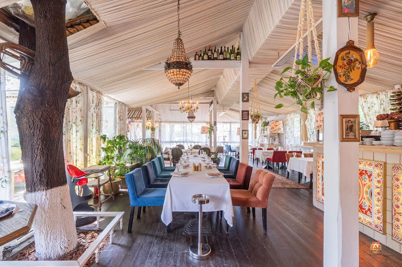 Поляна фотография №16