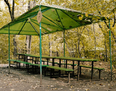 День рождения в Лесная Крепость