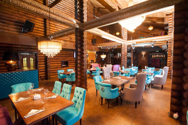 Forest фотография №19