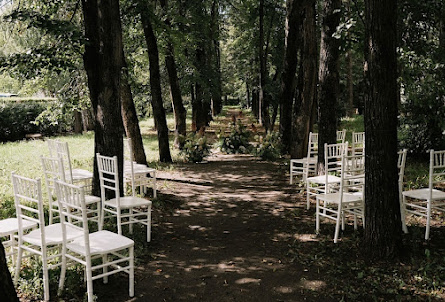 Аллея деревьев в Зал BELLO