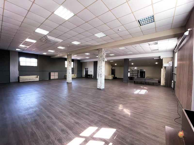 Чайка фотография №2