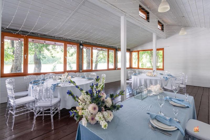 Гуси-Лебеди фотография №11