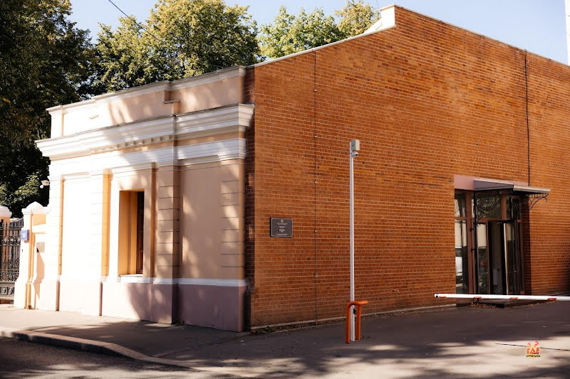 Муза фотография №19