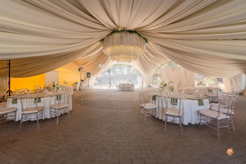 Наша Хвоя фотография №4