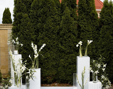  ресторан TRITONIA