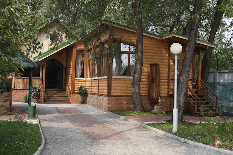 Березка фотография №4