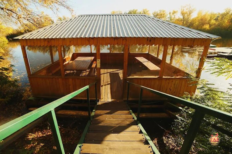 Дубровский фотография №14