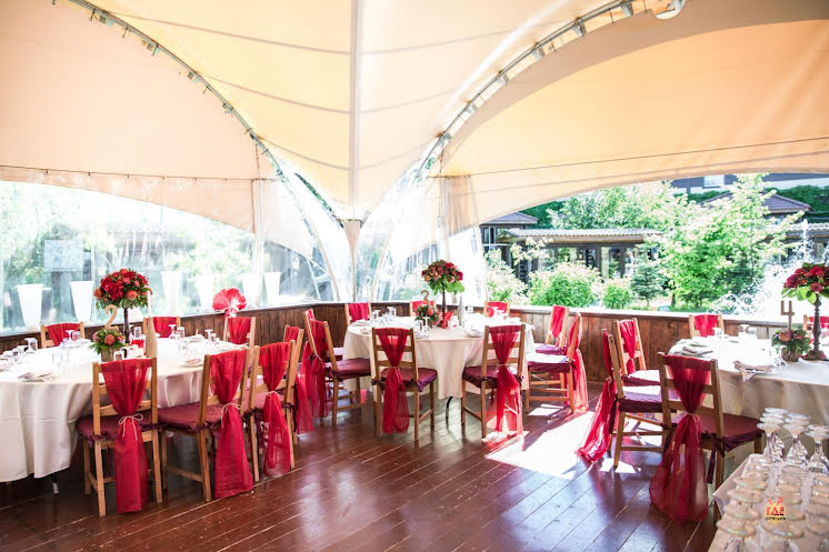 Купол в «Раздолье» фотография №2