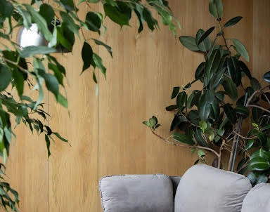  ресторан STG cafe