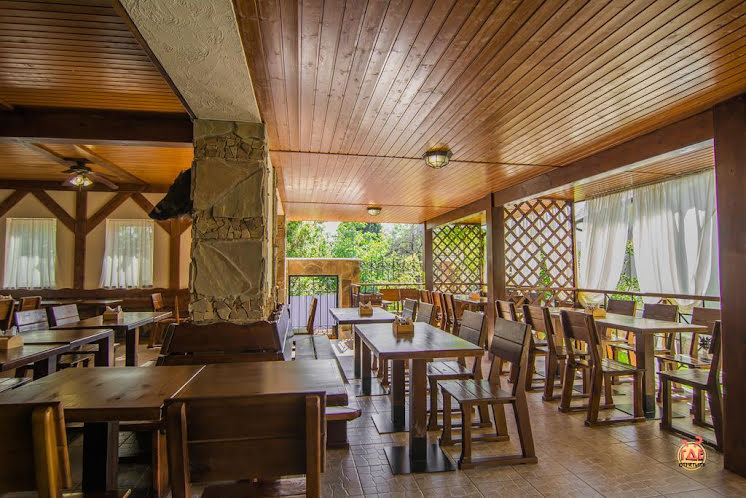 Основной зал в «Альпийская Долина» фотография №5