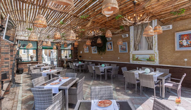 Олли фотография №11