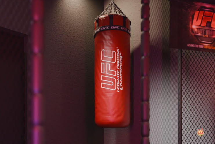 Лофт «UFC» в «В69» фотография № 1