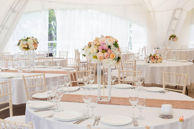 Тропикана Парк фотография №15