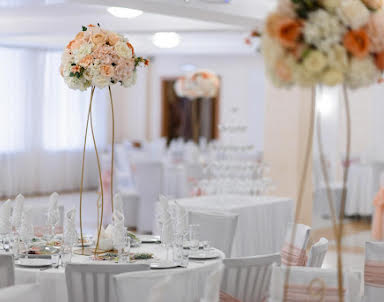 Новый год в Аврора