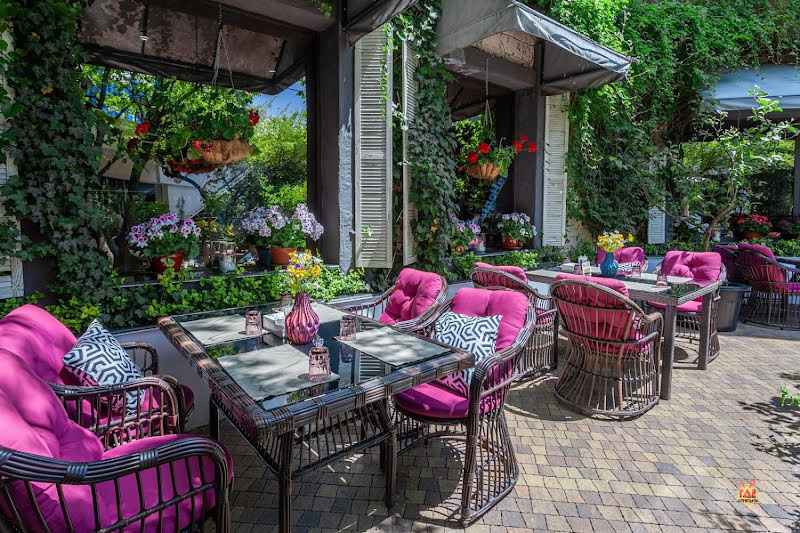 Stephania фотография №9