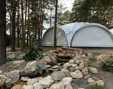  ресторан Алсма